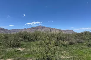 39 6 Acres Paulo Rose Dr, Portal, AZ 85632 - Photo 1