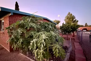 5110 E 26th St, Tucson, AZ 85711 - Photo 24