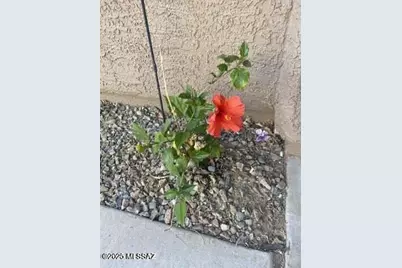 11576 W Stone Hearth Street, Marana, AZ 85658 - Photo 2