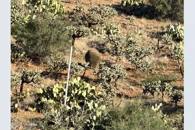 66410 Sundance Place #43, Tucson, AZ 85739 - Photo 6