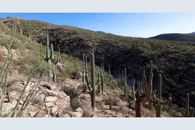 12493 Mira Vista Canyon Place #17, Tucson, AZ 85749 - Photo 10
