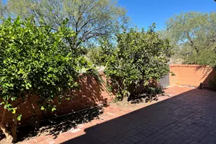 307 N Calle Del Diablo, Green Valley, AZ 85614 - Photo 24