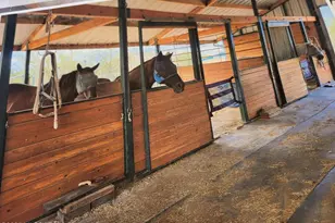 5552 S Beehive Ave, Tucson, AZ 85746 - Photo 4