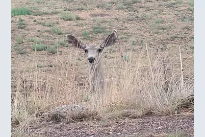 93 Broncho Trail, Sonoita, AZ 85637 - Photo 38