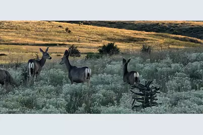 4 Mustang Trail, Sonoita, AZ 85637 - Photo 48