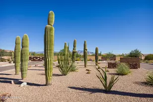 5197 W Ridgemont Ct, Tucson, AZ 85742 - Photo 44