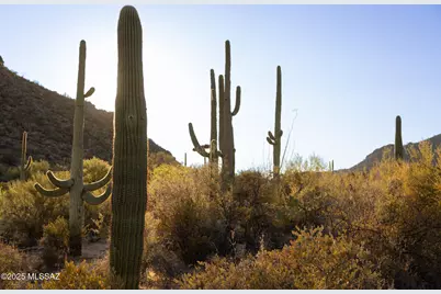13672 Old Ranch House Road #1, Marana, AZ 85658 - Photo 16