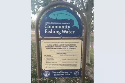 299 W Calle Del Estribo, Sahuarita, AZ 85629 - Photo 44