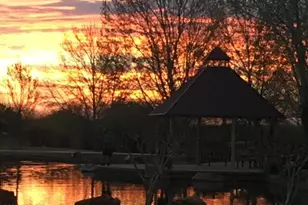 479 W Calle Moncayo, Sahuarita, AZ 85629 - Photo 46