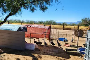 15246 Carlburg Ave, Tucson, AZ 85736 - Photo 18