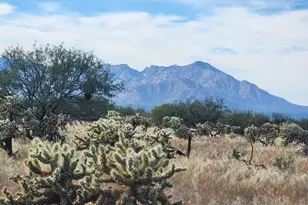 15246 Carlburg Ave, Tucson, AZ 85736 - Photo 10