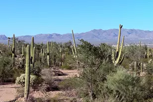 6700 W Calle De Mi Jazmin, Tucson, AZ 85743 - Photo 44