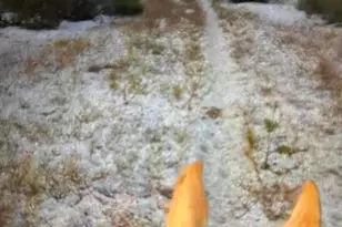 2842 N Melpomene Way, Tucson, AZ 85749 - Photo 4