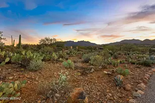 6539 W El Camino Del Cerro, Tucson, AZ 85745 - Photo 50