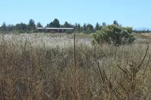 10747 N Bell Rd, Elfrida, AZ 85610 - Photo 30