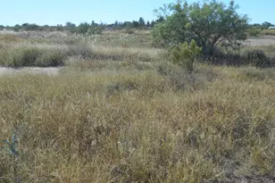 10747 N Bell Rd, Elfrida, AZ 85610 - Photo 32