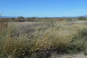 10747 N Bell Rd, Elfrida, AZ 85610 - Photo 28