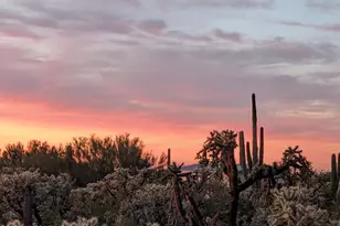 12690 W Fort Lowell Rd, Tucson, AZ 85743 - Photo 24