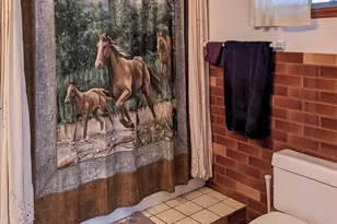 285 W Red Dog Rd, Portal, AZ 85632 - Photo 36