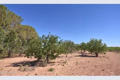 285 W Red Dog Road, Portal, AZ 85632 - Photo 12