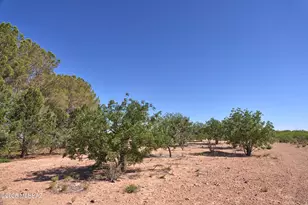 285 W Red Dog Rd, Portal, AZ 85632 - Photo 12