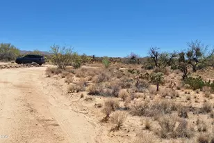 14454 Ezra Pl, Tucson, AZ 85736 - Photo 10