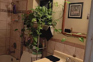 426 E Blacklidge Dr, Tucson, AZ 85705 - Photo 10