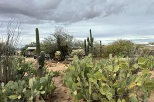 6355 N Desert Trail Rd, Tucson, AZ 85743 - Photo 32