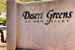 297 E Desert Golf Pl, Tucson, AZ 85737 - Photo 44