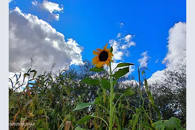 3663 E Ellington Place, Tucson, AZ 85713 - Photo 22