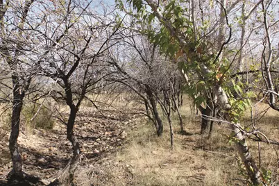 10 Acres E Roadrunner Lane #E, Pearce, AZ 85625 - Photo 2