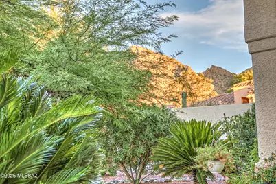 10269 N Calle Del Carnero, Oro Valley, AZ 85737 - Photo 40