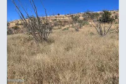 394 Esponja Court #85, Rio Rico, AZ 85648 - Photo 4