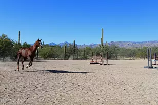 13670 E Camino La Cebadilla, Tucson, AZ 85749 - Photo 4