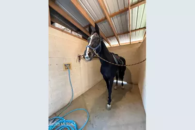 13670 E Camino La Cebadilla, Tucson, AZ 85749 - Photo 38