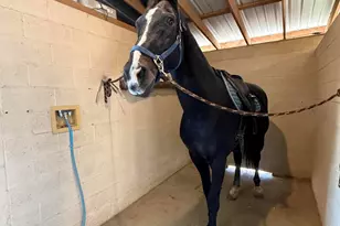 13670 E Camino La Cebadilla, Tucson, AZ 85749 - Photo 38