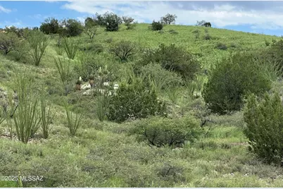 00 Proctor Lane #D-1, Patagonia, AZ 85624 - Photo 6
