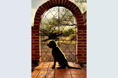 27 Circulo De Prado, Tubac, AZ 85646 - Photo 40