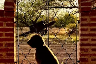 27 Circulo de Prado, Tubac, AZ 85646 - Photo 40