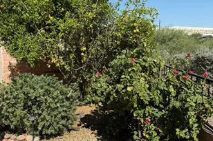 1604 W Vuelta Salvatierra, Green Valley, AZ 85622 - Photo 14