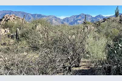 656 Granite Gorge Drive #337, Oro Valley, AZ 85755 - Photo 10