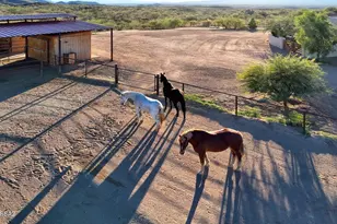 401 N Bully Hill Ct, Oracle, AZ 85623 - Photo 4