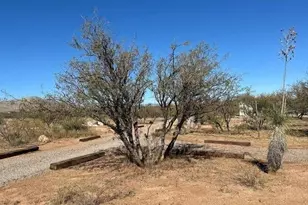 4742 E Dragoon Rd, Dragoon, AZ 85609 - Photo 50