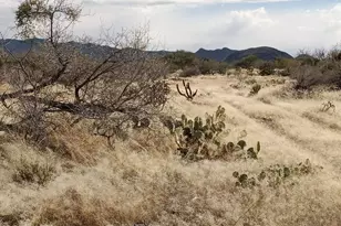 16040 Big Run Ave, Tucson, AZ 85736 - Photo 2