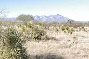 16040 Big Run Ave, Tucson, AZ 85736 - Photo 4