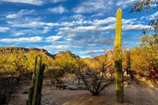 5081 N Bear Canyon Rd, Tucson, AZ 85749 - Photo 46