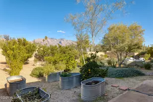 5671 N Placita Stilbayo, Tucson, AZ 85718 - Photo 32