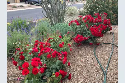 59978 E Amur Lane, Oracle, AZ 85623 - Photo 4