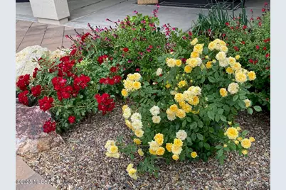 59978 E Amur Lane, Oracle, AZ 85623 - Photo 22