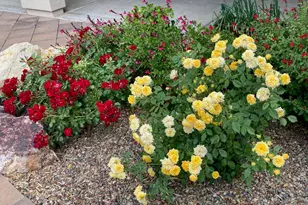 59978 E Amur Ln, Oracle, AZ 85623 - Photo 22